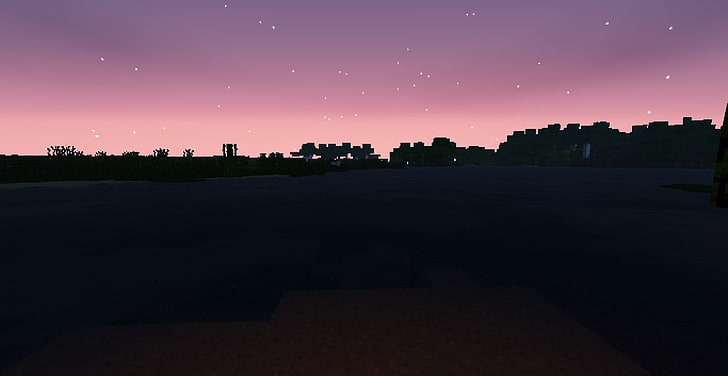 landscape, Minecraft, Sea Sponge, sunset, HD wallpaper