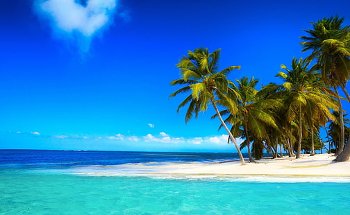 ركن شاطئ النخيل ، البحر الأزرق ، الفصول ، الصيف، خلفية HD HD wallpaper