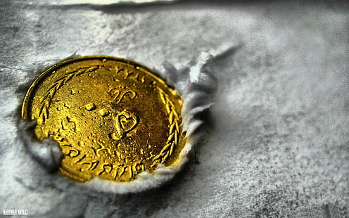 Gold Coin-Macro photography wallpaper, round gold-colored coin, HD wallpaper HD wallpaper