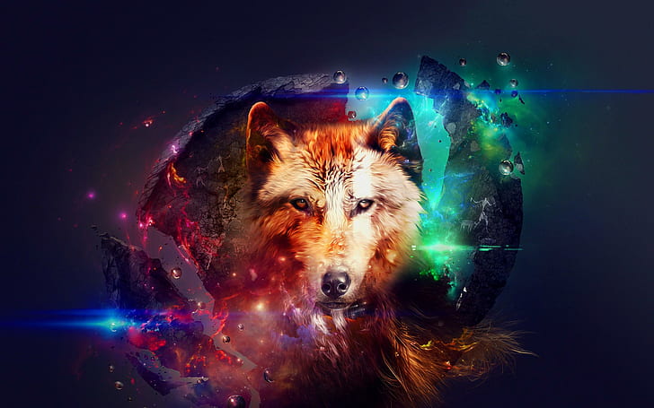 Sztuka abstrakcyjna wilka, brązowy pies, abstrakcja, wilk, Tapety HD