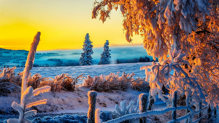 himmel, solnedgång, snö, kyla, landskap, frost, vinter, träd, snöig, vatten, frysning, träd, kväll, HD tapet