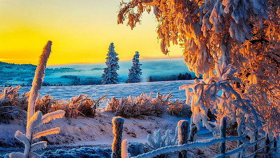 niebo, zachód słońca, śnieg, zimno, krajobraz, mróz, zima, drzewa, śnieżny, woda, mróz, drzewo, wieczór, Tapety HD HD wallpaper