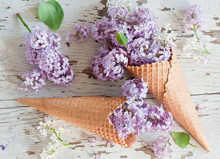purple lilac flowers and sugar cones, flowers, lilac, waffle cone, waffle cones, HD wallpaper