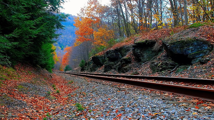 ราวรถไฟสีน้ำตาล, รถไฟ, ภูมิทัศน์, ต้นไม้, หิน, ป่า, วอลล์เปเปอร์ HD