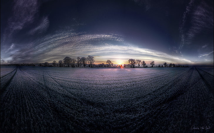 Fotografie 360 ​​des Schattenbildes der Bäume, Natur, Sonnenuntergang, Himmel, digitale Kunst, Feld, Bäume, Sonnenlicht, HD-Hintergrundbild