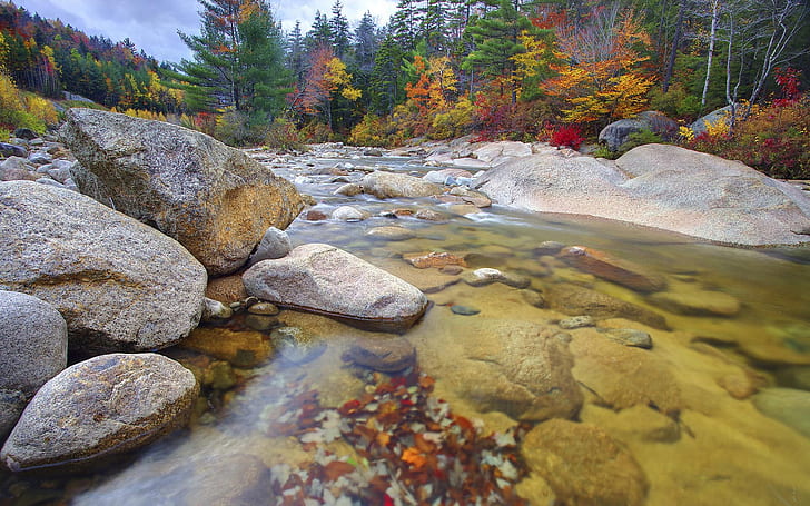 Clear Mountain River Rocks Trees With Autumn Yellow And Red Leaves Wallpaper For Pc Ablet And Mobile Download 1920×1200, HD wallpaper