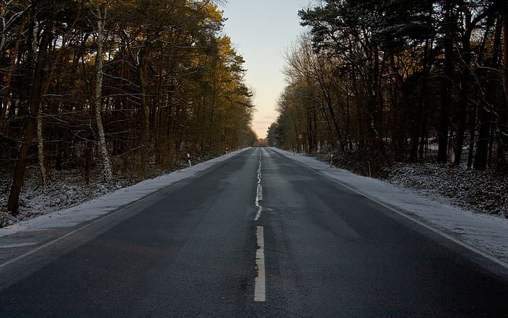 Fotografie, Natur, Landschaft, Straße, Bäume, Pflanzen, Winter, Frost, HD-Hintergrundbild