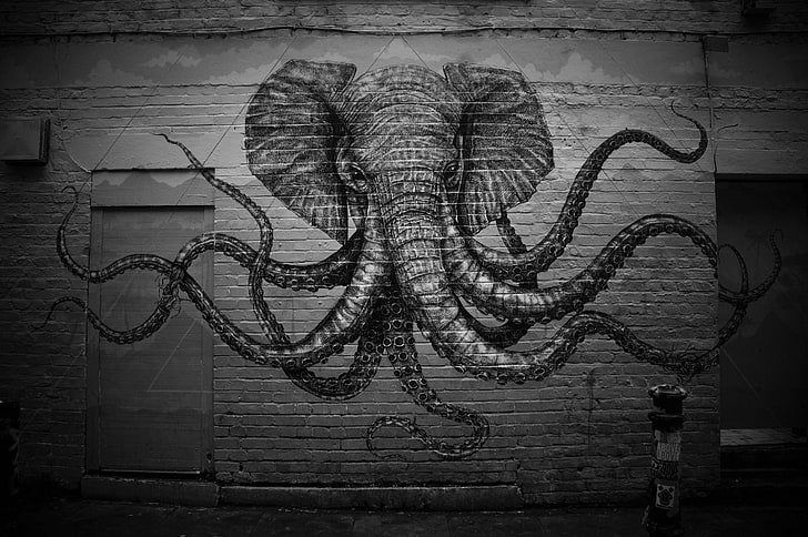 gajah x gurita seni dinding, grafiti, gajah, monokrom, dinding, gurita, Cthulhu, Wallpaper HD