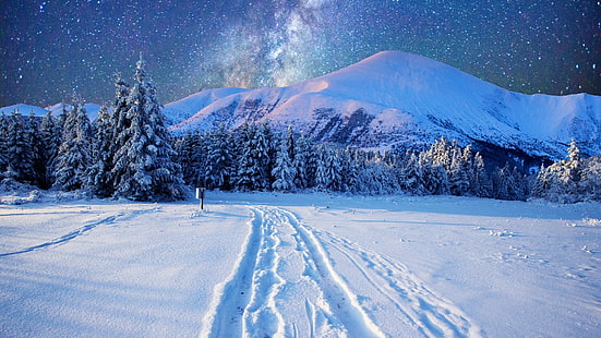 nuit d'hiver, étoiles, étoile, ciel étoilé, neigeux, pin, forêt de pins, piste, montagne, pins, hiver, ciel nocturne, arbre, gel, nuit étoilée, voie lactée, gel, ciel, nature, neige, Fond d'écran HD HD wallpaper