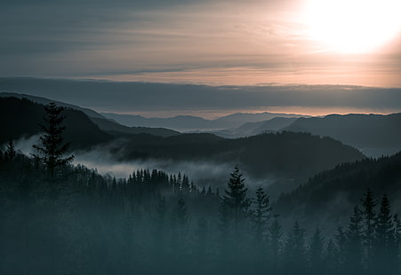sagoma di pini, alberi, paesaggio, nebbia, montagna, bellezza, Norvegia, foresta, Sfondo HD HD wallpaper