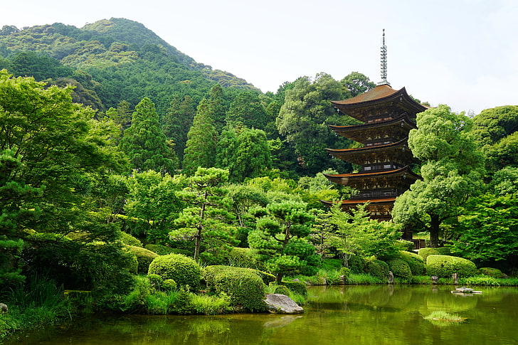 茶色の塔、日本、山口、池、木、 HDデスクトップの壁紙