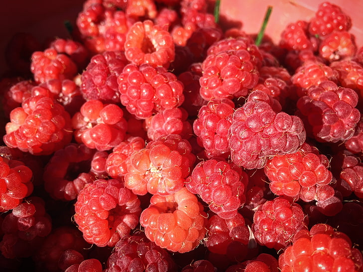 bunch of raspberries, raspberry, berry, ripe, appetizing, HD wallpaper