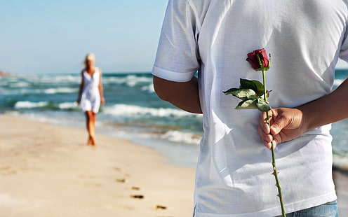 Szczęśliwa romantyczna para, czerwony kwiat róży, szczęśliwa, miłość, romantyczna, para, ludzie, róża, Tapety HD HD wallpaper