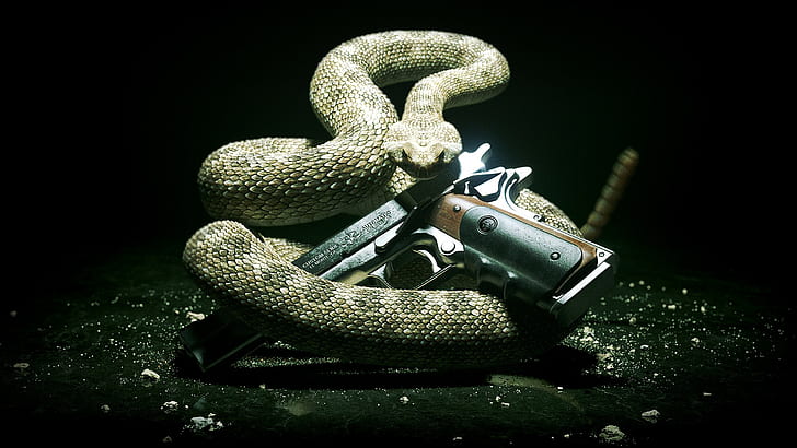 Snake Handgun Hitman HD, video games, snake, handgun, hitman, HD wallpaper