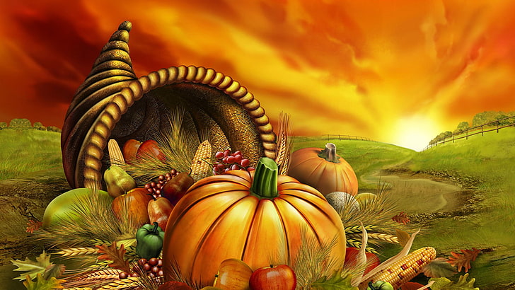 squash, pumpkin, vegetable, produce, halloween, orange, autumn, food, fall, pumpkins, october, thanksgiving, harvest, plant, holiday, seasonal, gourd, season, decoration, yellow, stem, fruit, patch, farm, HD wallpaper