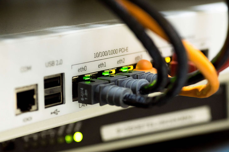 kabel, tutup, koneksi, kedalaman bidang, elektronik, ethernet, internet, kabel lan, jaringan, Wallpaper HD