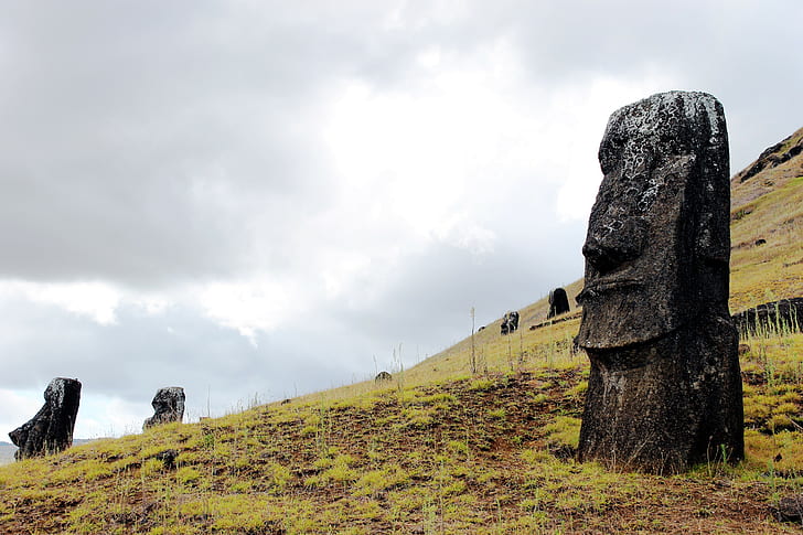 moai rano raraku isola di pasqua isla de pascua scultura, Sfondo HD