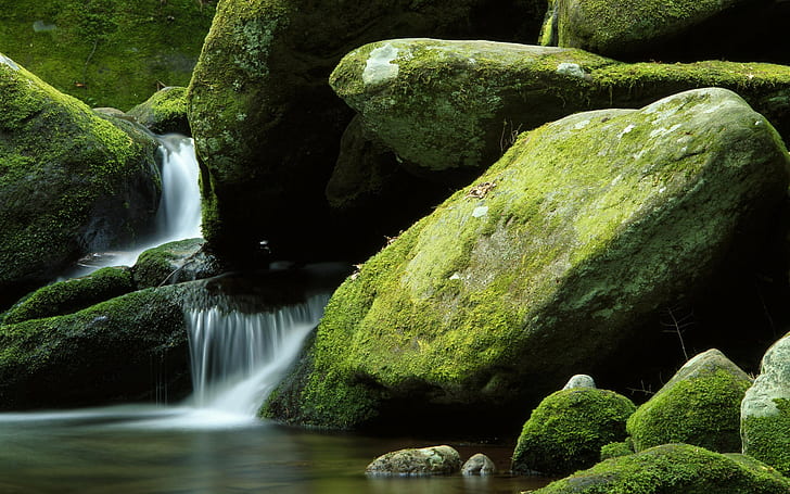 landscape, moss, waterfall, nature, long exposure, rock, stones, stream, HD wallpaper