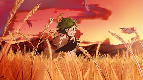 Mushoku Tensei, Sylphiette, elfy, zielone włosy, czerwone oczy, pole, zachód słońca, anime, grafika, dziewczyny anime, 2D, Tapety HD HD wallpaper
