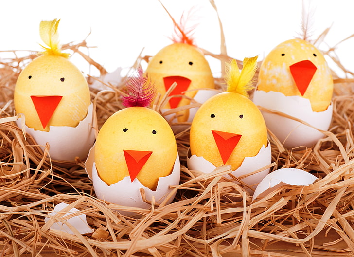 яйца, гнездо, усмивка, Великден, смешно, HD тапет