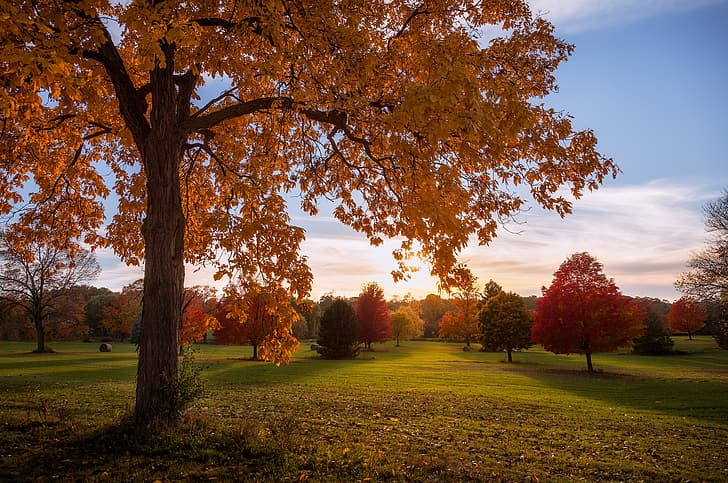 autumn, trees, Park, Wisconsin, HD wallpaper