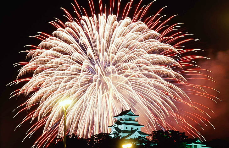 Sommerfeuerwerke, Nacht, Rosa, Japan, Feuerwerke, Blume, 3d und Zusammenfassung, HD-Hintergrundbild