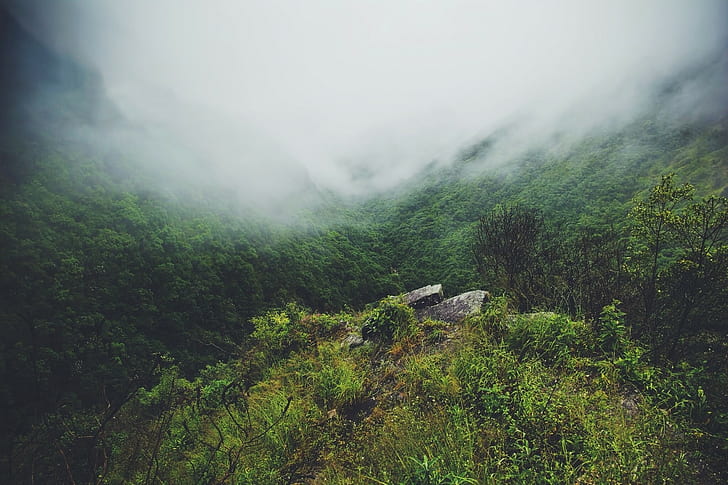 krajobraz, mgła, Tapety HD