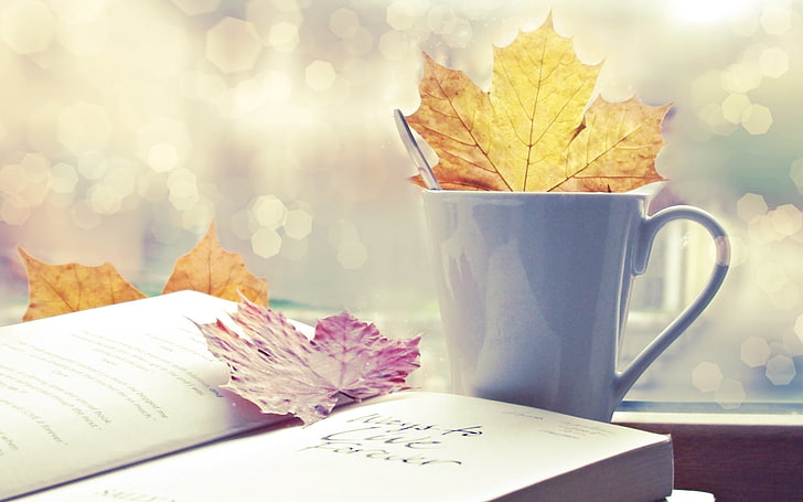 brown maple leaf, autumn, leaves, book, mood, HD wallpaper