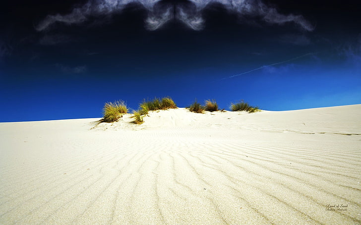พืชใบเชิงเส้นสีเขียวทรายทะเลทรายภูมิทัศน์พุ่มไม้ธรรมชาติ, วอลล์เปเปอร์ HD