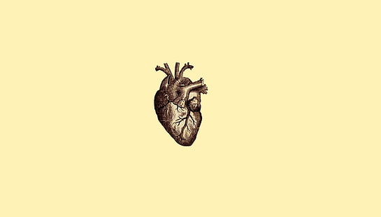 human heart illustration, digital art, minimalism, simple, simple background, drawing, anatomy, heart, veins, medicine, HD wallpaper HD wallpaper