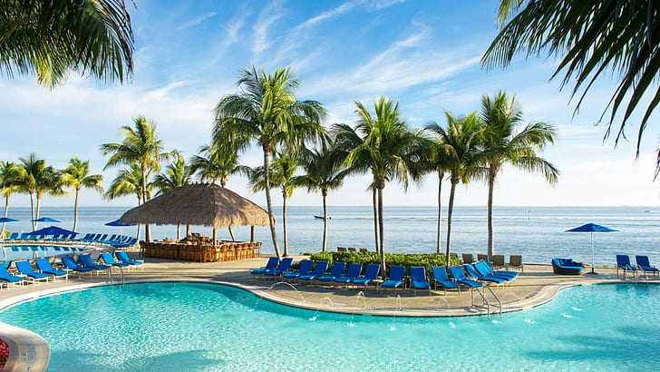 resort, caribbean, swimming pool, leisure, resort town, tropics, vacation, palm tree, tourism, sky, tree, sea, HD wallpaper