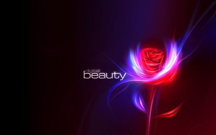 цифров тапет за красота, роза, дигитално изкуство, цветя, HD тапет