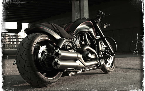 Harley Davidson Vrscdx Night Rod Spe, รถจักรยานยนต์ครุยเซอร์สีดำ, รถจักรยานยนต์, Harley Davidson, สีดำ, วอลล์เปเปอร์ HD HD wallpaper
