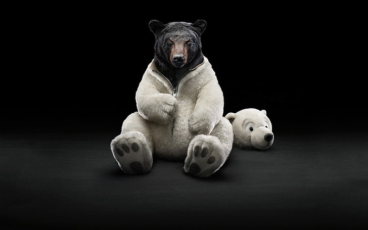 photomanipulation bears 1680x1050 Animals Bears HD Art, ursos, fotomanipulação, HD papel de parede