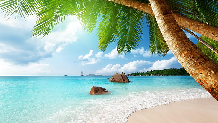 ocean, blue water, blue ocean, anse lazio, beach, island, lagoon, tree, water, tropics, praslin, seychelles, palm tree, vacation, shore, sky, sea, caribbean, HD wallpaper