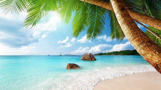 hav, blått vatten, blått hav, anse lazio, strand, ö, lagun, träd, vatten, tropikerna, praslin, seychellerna, palmträd, semester, strand, himmel, hav, karibien, HD tapet HD wallpaper