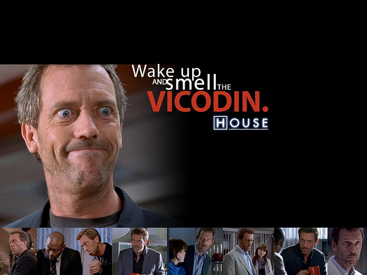 dr house hugh laurie house md 1024x768 Architecture Houses HD Art، Dr House، Hugh Laurie، خلفية HD