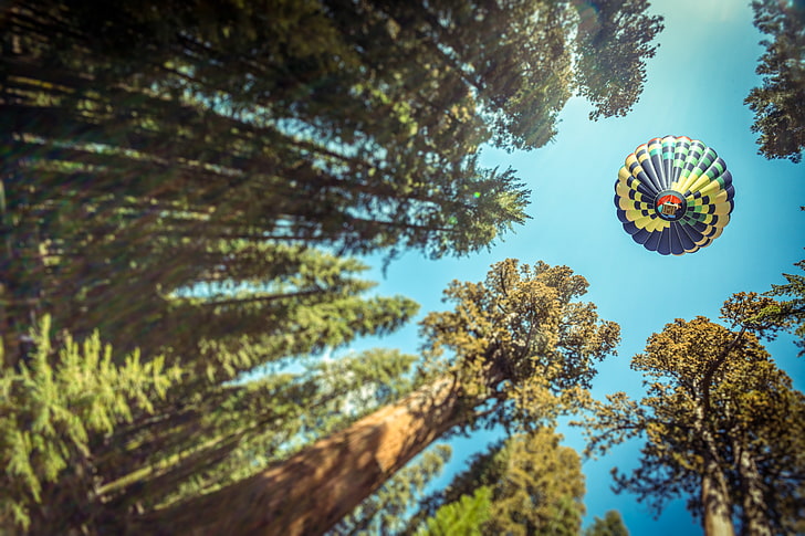 forest, trees, view, ball, air, ballooning, photo, photographer, Andrés Nieto Porras, HD wallpaper