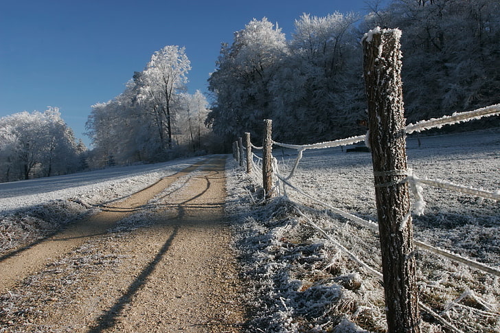 brown wooden fence, fence, stakes, hoarfrost, gray hair, winter, cold, road, country, HD wallpaper