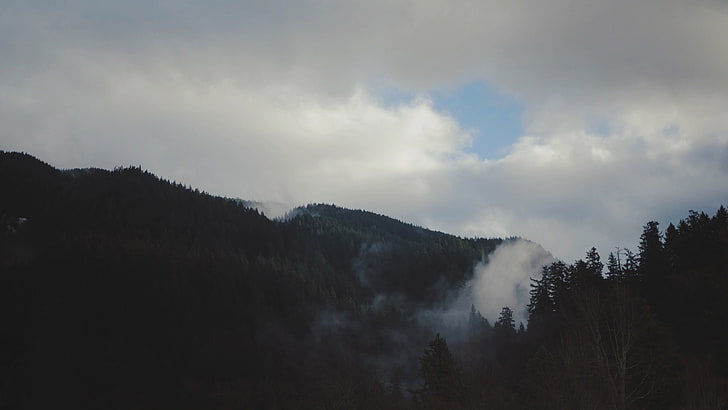 textile de fourrure blanche et noire, nature, arbres, paysage, montagnes, Fond d'écran HD