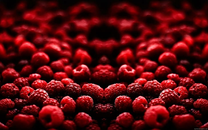 Raspberry, raspberry merah, raspberry, makanan, buah, Wallpaper HD