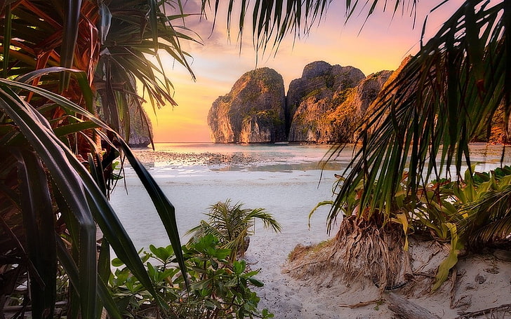 nature, paysage, plage, coucher de soleil, palmiers, arbustes, roche, falaise, mer, sable, feuilles, Philippines, tropical, île, Fond d'écran HD