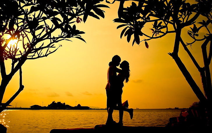 Sunset Hug Love Couple, siluet pria dan wanita, Cinta,, pohon, matahari terbenam, pasangan, Wallpaper HD