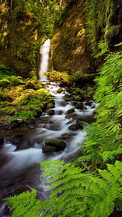landscape vertical creeks, HD wallpaper HD wallpaper