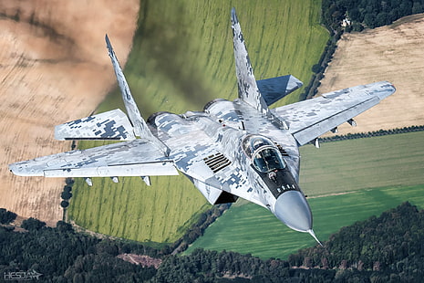 Campo, floresta, lutador, lanterna, o MiG-29, piloto, cockpit, da força aérea da Eslováquia, ILS, RL, HESJA Air-Art Photography, HD papel de parede HD wallpaper