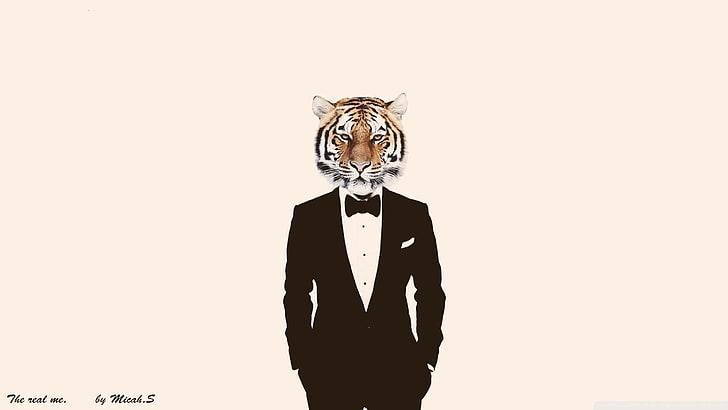 suits, photo manipulation, tiger, HD wallpaper