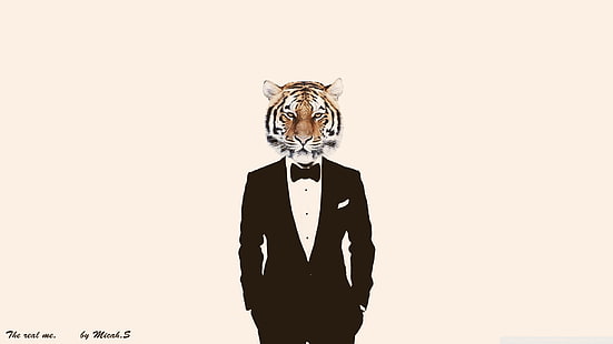 suits, photo manipulation, tiger, HD wallpaper HD wallpaper