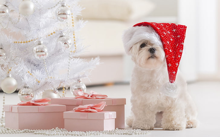 Filhote de cachorro bonito natal 2018 Ano Novo HD Wallpaper, HD papel de parede