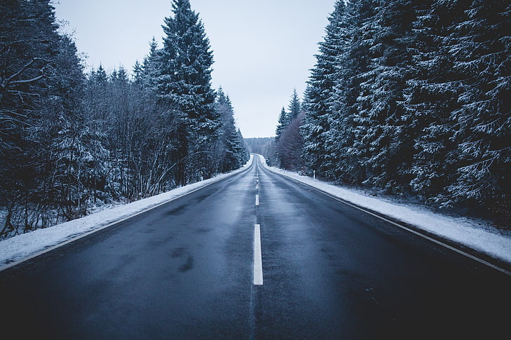 дорога, зима, снег, HD обои