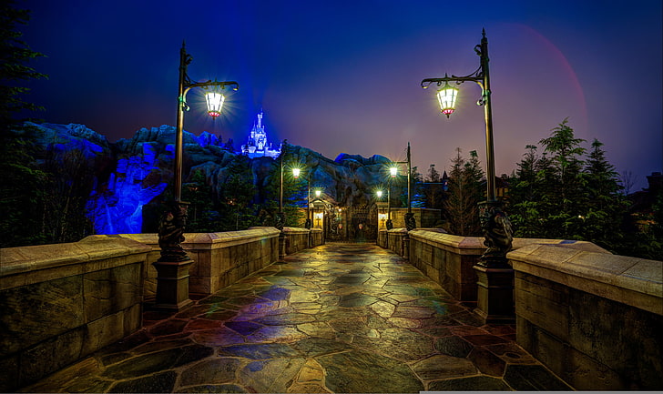 black outdoor lamps, night, castle, FL, lights, USA, Disneyland, Orlando, Walt Disney World, Magic Kingdom, HD wallpaper